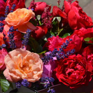 1) Rosiers introduits par l'asbl Patrimoine Roses pour le Luxembourg depuis 2013